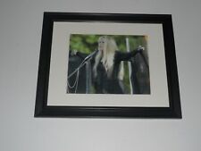 Framed Stevie Nicks Fleetwood Mac 2011 on Stage Gypsy NYC 14